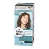 Liese Prettia Bubble Color Hair Dye