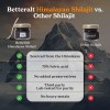BetterAlt Pure Himalayan Shilajit Resin | Himalayan Superfood | Lab-Tested