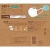 Hakugen Earth Comfort Guard Standard Mask, 40 Pieces