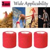 Kuanfine 3 Pack 2 Inches Self Adhesive Bandage Wrap Vet