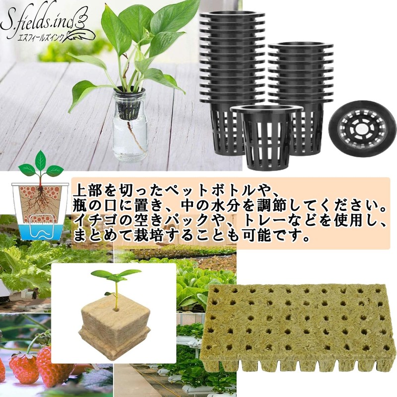 S.fields.inc Rock Wool Block Hydroponics Pot, Set of 50, Seedling
