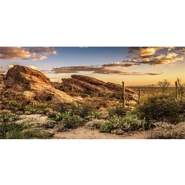 AWERT Reptile Habitat Background Blue Sky Oasis Cactus Sun and Desert Terrarium Background 72x24 inches Durable Polyester Background