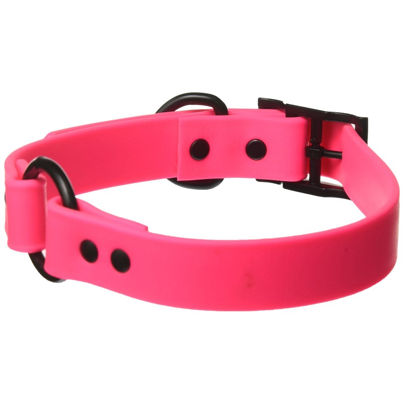 OmniPet Zeta Ring in Center Dog Collar with Black Metal