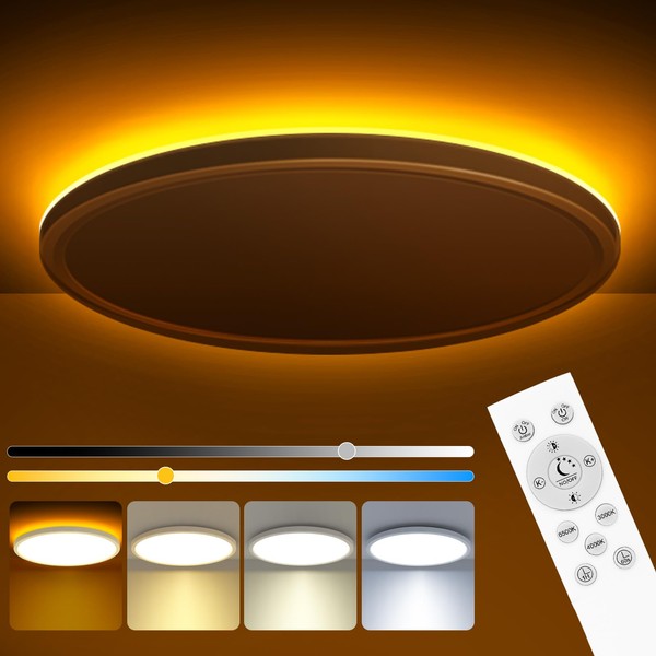 zemty 12 Inch LED Ceiling Light with Night Light 1800K,