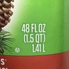 Pine-Sol Pine Sol Original Formula with Pine Oil Multi Surface