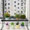 IBERG Cabinet Shelf - Set of 2 Mesh Shelf Organizers