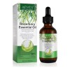 Aceite Esencial De Romero Crecimiento Cabello Cuidado Piel