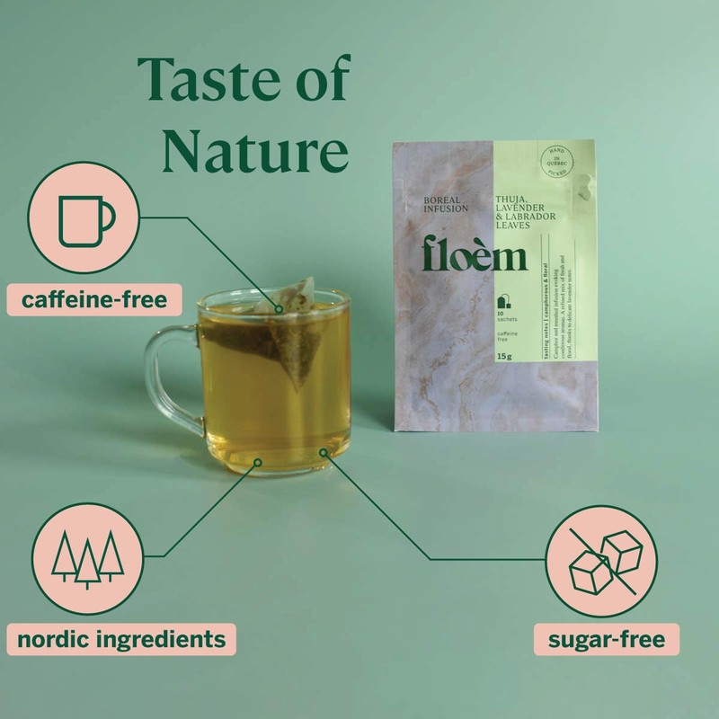 Floem - Peppermint, Lavender & Thuja Tea Bags with Labrador
