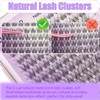 DAODER Natural Lash Clusters Kit Wispy Eyelash Clusters Lashes Invisible