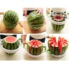 Creative Medium Size Fruit Corer Melon Slicer Random Colour Pink