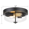 Emliviar 1 Pack Ceiling Light Fixture with Clear Glass Shade