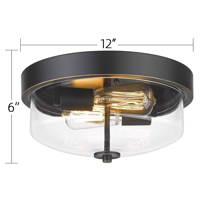 Emliviar 1 Pack Ceiling Light Fixture with Clear Glass Shade