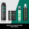 lendan LD Oil Essences E. Moringa Oil Capilar – 100