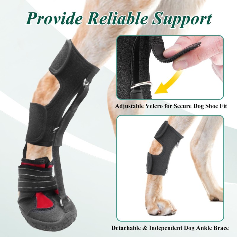 Strap-On Drop Foot Brace (No Knuckling Boot Brace) for Dogs—