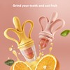 Fruit Food Feeder Pacifier Silicone Safe Reduce Soreness Feeder Teething
