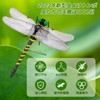 2024 Model Dragonfly Bug Protection Strap and Safety Pin Included