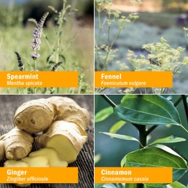 Herb Pharm Herb Pharm Breath Refresher Certified Organic Herbal Fresh Breath Spray with Spearmint Essential Oil - 1/2 Ounce