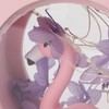 Flamingo Lamp Wall Mountable Double Sided Transparent Romantic Battery Powered