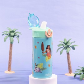 Zak Designs Moana Kids Water Bottle For School or Travel, 14oz Stainless Steel Water Bottle With Straw, Handle, and Leak-Proof, Pop-Up Spout Cover (Moana, Maui, Pua, Hei Hei)