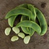 Southeast Seeds Burpee Improved Lima Bean Seeds, Butter Beans, NON-GMO,