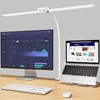EppieBasic LED Desk Lamp, 24W Double Head Desk Light,Architect Clamp