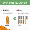 Herbal Code Labs Nutrition Boswellia Curcumin Ginger Extracts