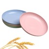 CAMBUY Wheat Straw Plates Lightweight Unbreakable Dinner Dishes Plates Set