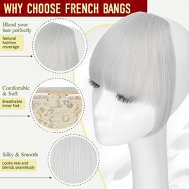 Felendy Clip in Bangs Fake French Bangs Natural Thick Front Full Bang Fringe with Temples Straight Bangs Hair Clip for Women - Silver Grey
