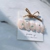 rosée - Paddy / rosée - 패디