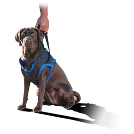 Walkabout Front Harness (med/Small 16-25"