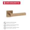 Gedotec Door Handle Brushed Brass | 1 Set | Rosette