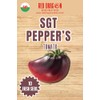 SGT Peppers Tomato Seeds - 10 Fresh SGT Peppers Beefsteak