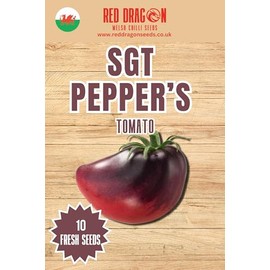 SGT Peppers Tomato Seeds - 10 Fresh SGT Peppers Beefsteak Tomato Seeds