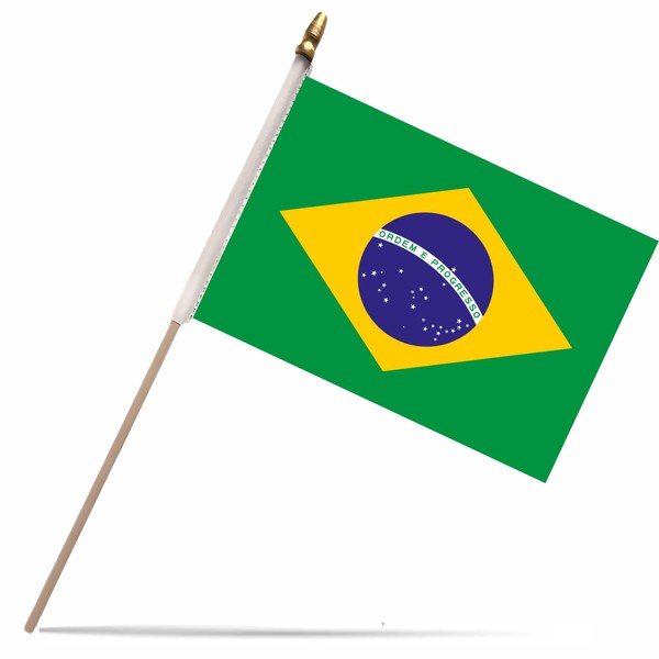NJ & NJBW 20 Pack Small Mini Brazil Flag on