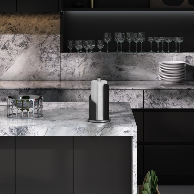 Stardis Kitchen Roll Holder, Stainless Steel/Matte Coated, Diameter: 15 cm