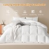LeWinBedding Luxury Goose Feathers Down Comforter Twin Size,All Season Fluffy