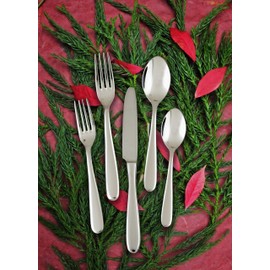 Fortessa Grand City 18/10 Stainless Steel Flatware Salad/Dessert Fork, Set of 12