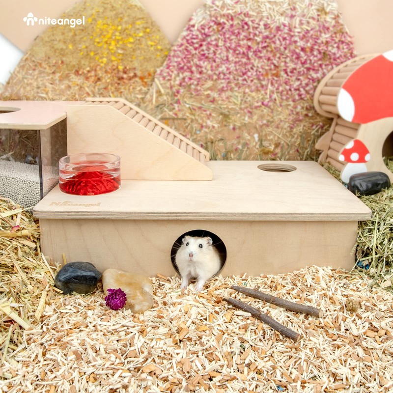 Niteangel Multi-Chamber Hamster House Maze: - Multi-Room Hideouts & Tunnel