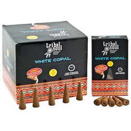 Tribal Soul Backflow Incense Cones - Box of 12 boxes x 10 cones each (Copal)