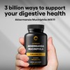 Akkermansia Muciniphila Probiotic Supplement 3 Billion CFU 240 Tablets Probiotics