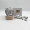 Lunari Dolphin Crystal Ball with Base Crystal Night Light Indirect