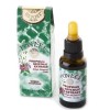 Pon Lee 3 Bottles of Brazilian Green Propolis Glycolic Extract