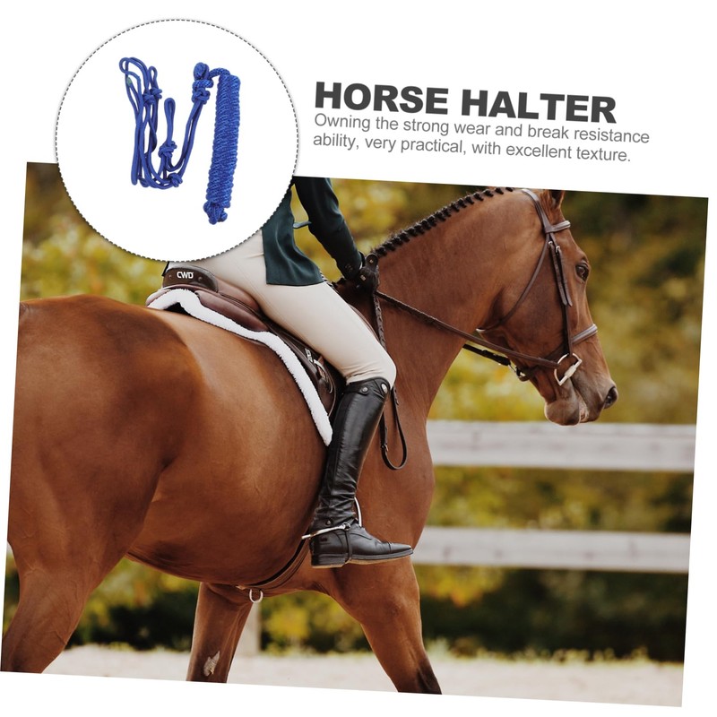 Hohopeti Riding Protective Ring Chain for Horse Bits Horse Head