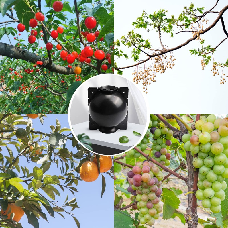 Tree Root Growing Box, Reusable Transparent Plants Asexual Reproduction Grafting