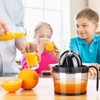 Sunhanny Citrus Juicer, Orange Lemon Manual Hand Squeezer, Anti-Slip Lid