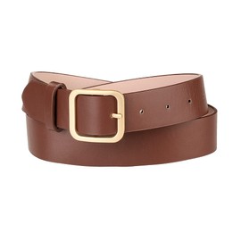 Allegra K Women's Pin Buckle Soft Wide Waist Belt, brown gold buckle