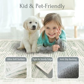 BLISSA Washable 5x7 Area Rugs - Soft Modern Throw Rug for Living Room Non-Slip Ultra-Thin Sage Green Lines Borderd Abstract Carpet for Bedroom Dining Room Under Table Kid Room Nursery Home Decor