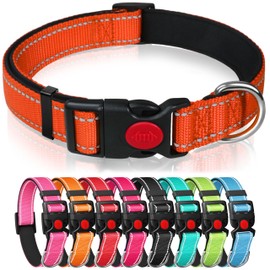 Reflective Nylon Dog Collar with Safety Buckle, Adjustable Pet Collars with Soft Neoprene Padding (Orange, S)