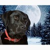 CafePress Black Lab Notecards (Set Of 20) 4.25" x 5.5"
