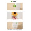 Ristpal 3Pack Herb Saver for Refrigerator for Cilantro, Parsley, Asparagus,